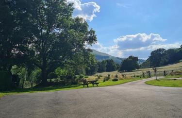 Brecon Beacons Lovely cottage with stunning views - Photo 14