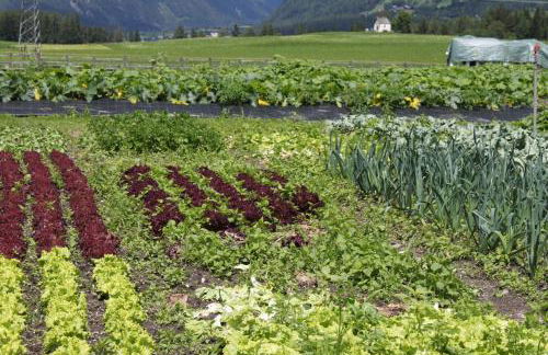 Appartementhaus Lechnerhof - Foto 16