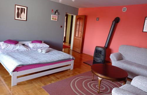 Apartament Pod Leszczyną - Foto 10