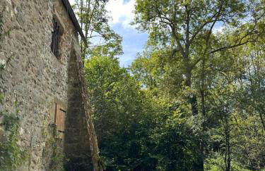 Le Moulin de Rochopt - Photo 60