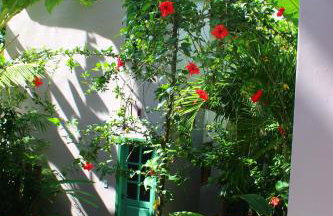 Jardim UIXA - Foto 46