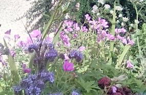 Scorrabrae Orphir Mainland Orkney South Shore Retreat - Photo 76