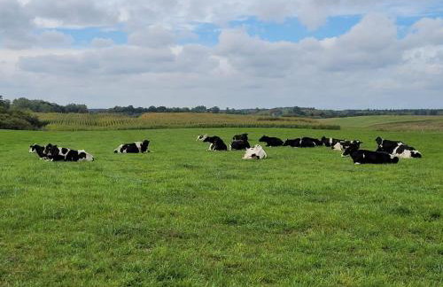 Agroturystyka Nowe Polaszki 10 - Foto 29