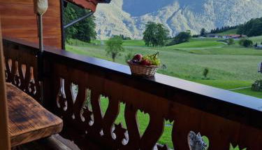 Ferienwohnung Datzmannlehen mit traumhaften Bergblick und Sauna - Foto 2