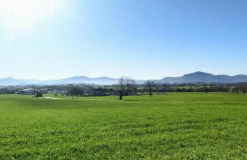El Pinar de Arna - Photo 66