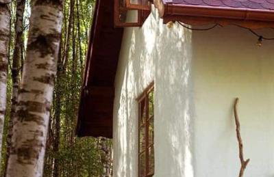 Siedlisko MiłoBrzózka - Photo 27