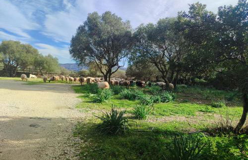 Cuile Casari - Foto 5