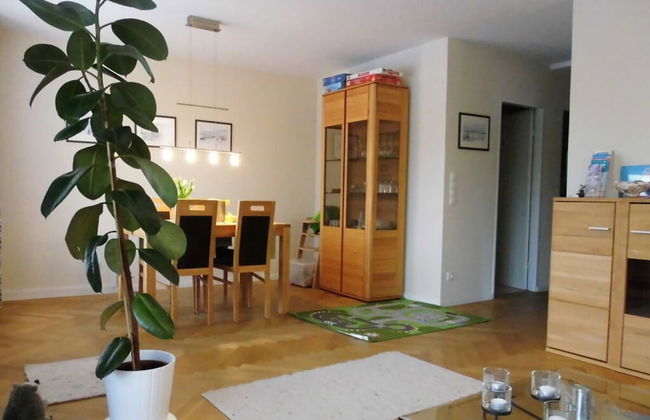 Herring Gull - Foto 17