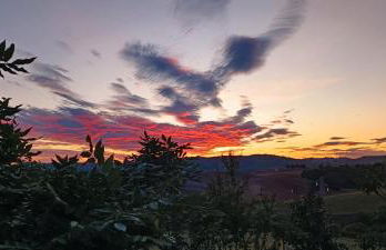 All'ombra del pino ALLOGGIO TURISTICO - Foto 33