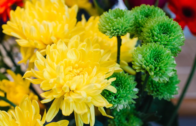 Caledonia Lodge - Foto 11