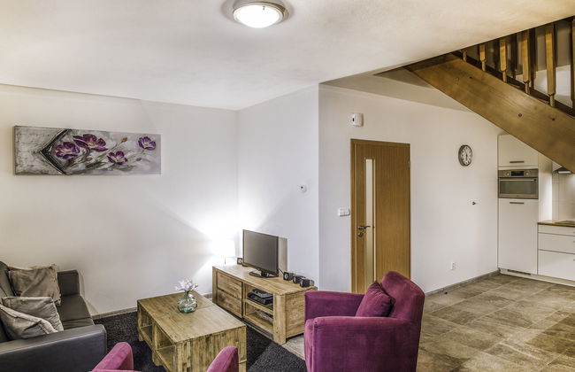 Residence Lipno - Foto 9