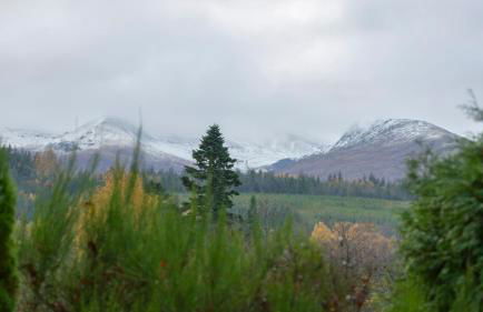 Room with a view - Photo 37