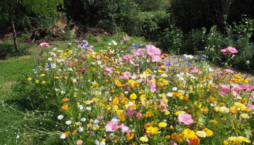 Old Stables - Foto 3, Garden