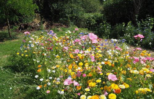 Old Stables - Foto 3