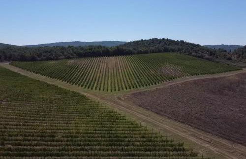 Podere La Selva - Foto 41