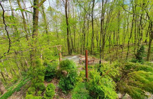 Leśny Zakątek - Foto 23