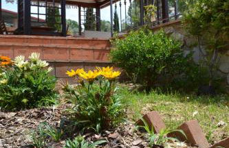 Agriturismo La Ghiraia - Foto 42