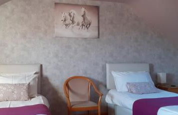 Henblas Holiday Cottages - Photo 10