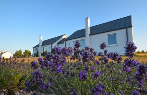 "Lawendowe Wzgórze" - Foto 41