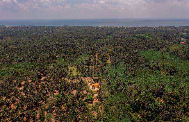 Teak Leaf Gateway Resort - Foto 61