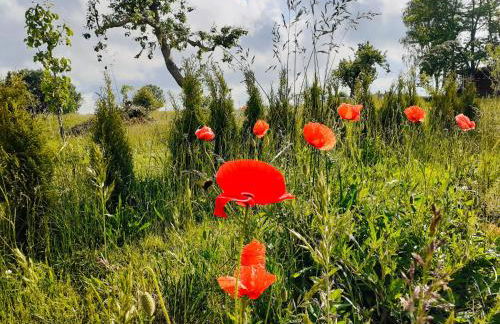 Haus 2 Linden - Foto 26