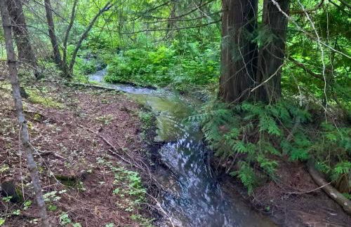 Private Two-Cabin Retreat Near Silverwood Theme Park - Sleeps 15 - Photo 32