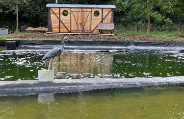 The Manor Dairy - Foto 29