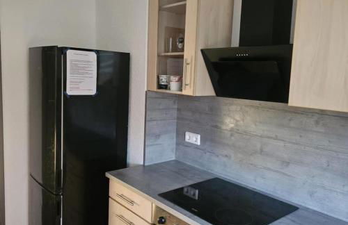 NEU! Ferienwohnung Elsteraue OG rechts - Foto 4