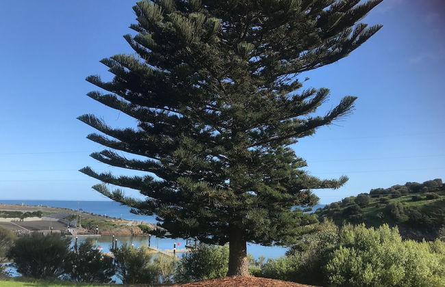 Penneshaw Oceanview Apartments - Photo 24