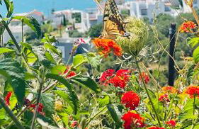 SHIGAYA Boutique Villa - Foto 71