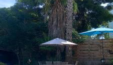 Maison jardin grande piscine - Foto 3