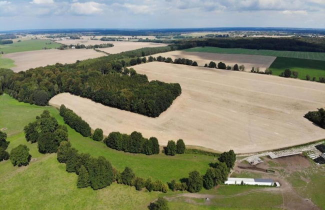 Geraeumige Ferienwohnung in Boddin mit Garten - Foto 19