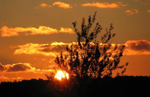 Ferienhaus-Heisser-Sand-Whg-5 - Photo 9