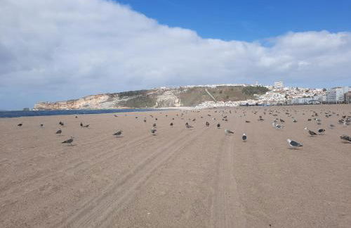 Sunflower Sea View with magnificent terrace in Serra da Pescaria, Nazaré - Portugal - Foto 48