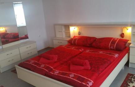 Ferienhaus Benneckenstein - Foto 8