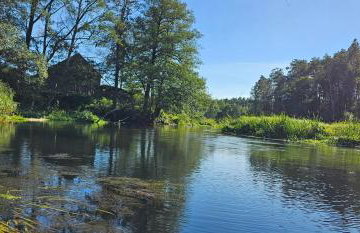 Leśna Przystań Bory Tucholskie - Foto 31