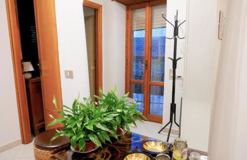 Le Magnolie Paliano appartamento 120 mq - Foto 6