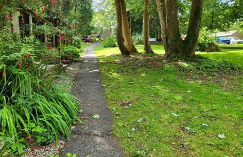 Bumbeldink - Foto 20