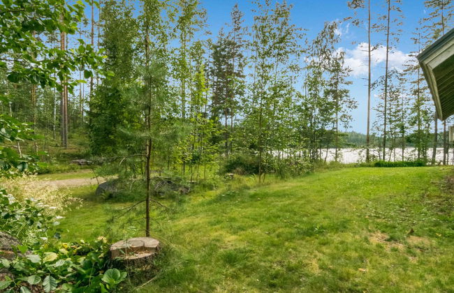 Niitsinniemi - Foto 18