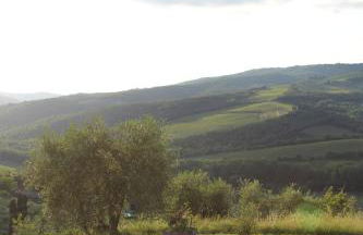 Tenuta il Poggetto - Foto 36