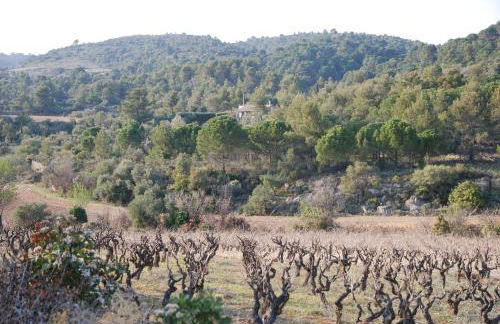 La petite Cigale - Foto 35