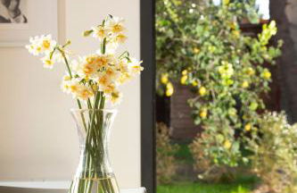 Dèpendance - Lequile - Alfa Country House - Foto 16