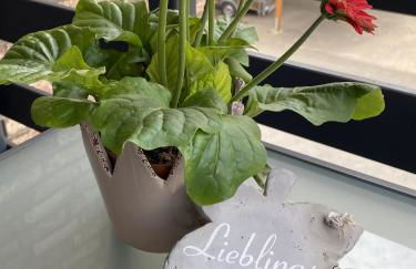 Apartment Meine - Foto 7