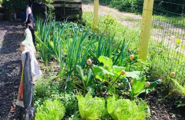 Rancho Caiçara - Photo 36