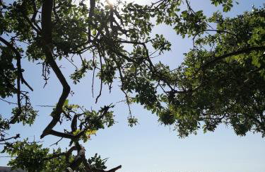 Apartmani Katarina - Foto 47