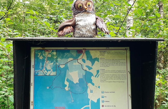 8 Person Holiday Home in Annerstad-by Traum - Foto 4