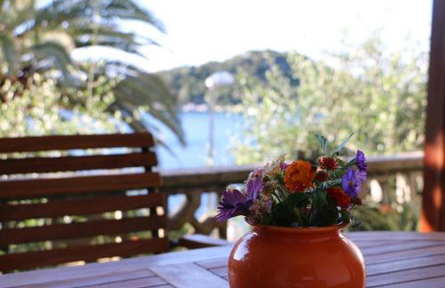 Apartments Leo Katić - Foto 41