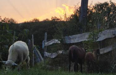 Chalet confort avec petit dejeuner - Foto 7