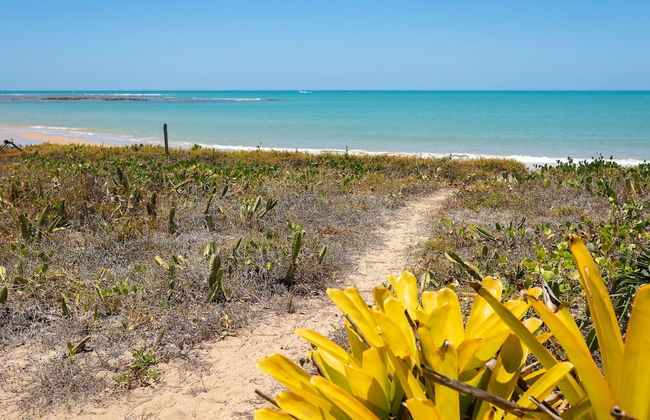 Suite da Vila - Praia do Espelho - Photo 74