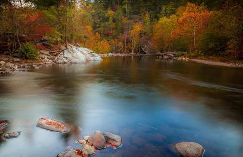 Lazy Bear Den - Foto 34